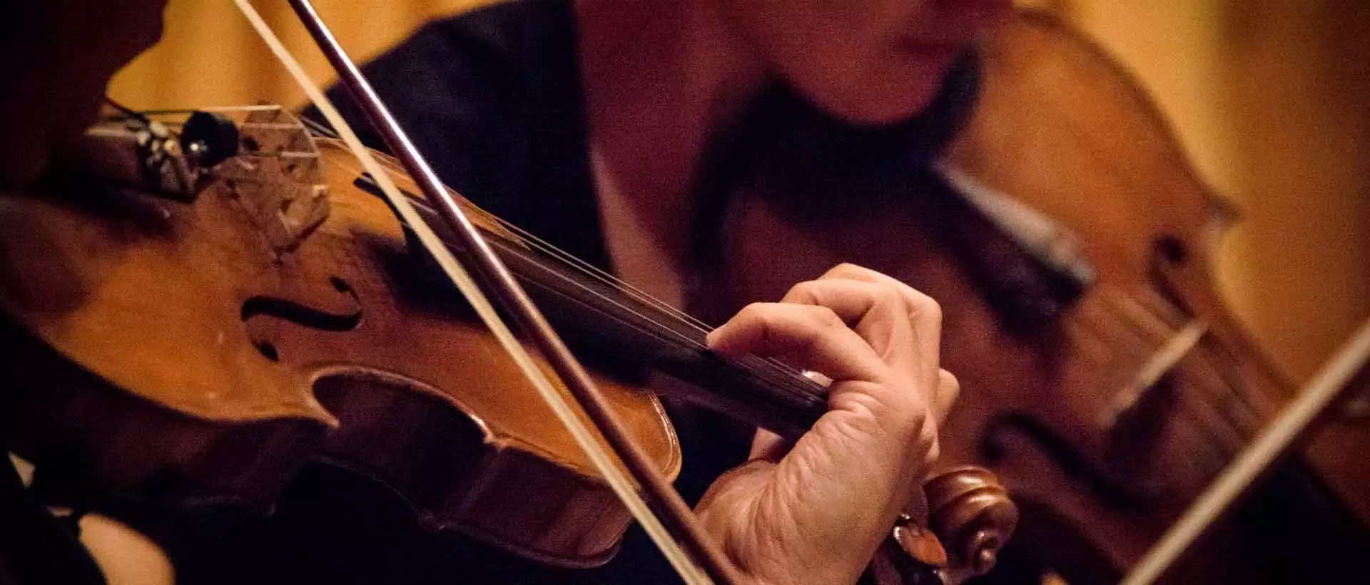 musicaciclo