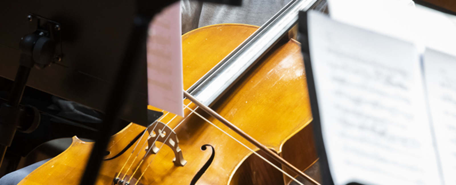 violonchelo_sinfonietta_1600x650