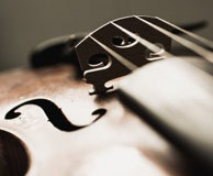 violin2