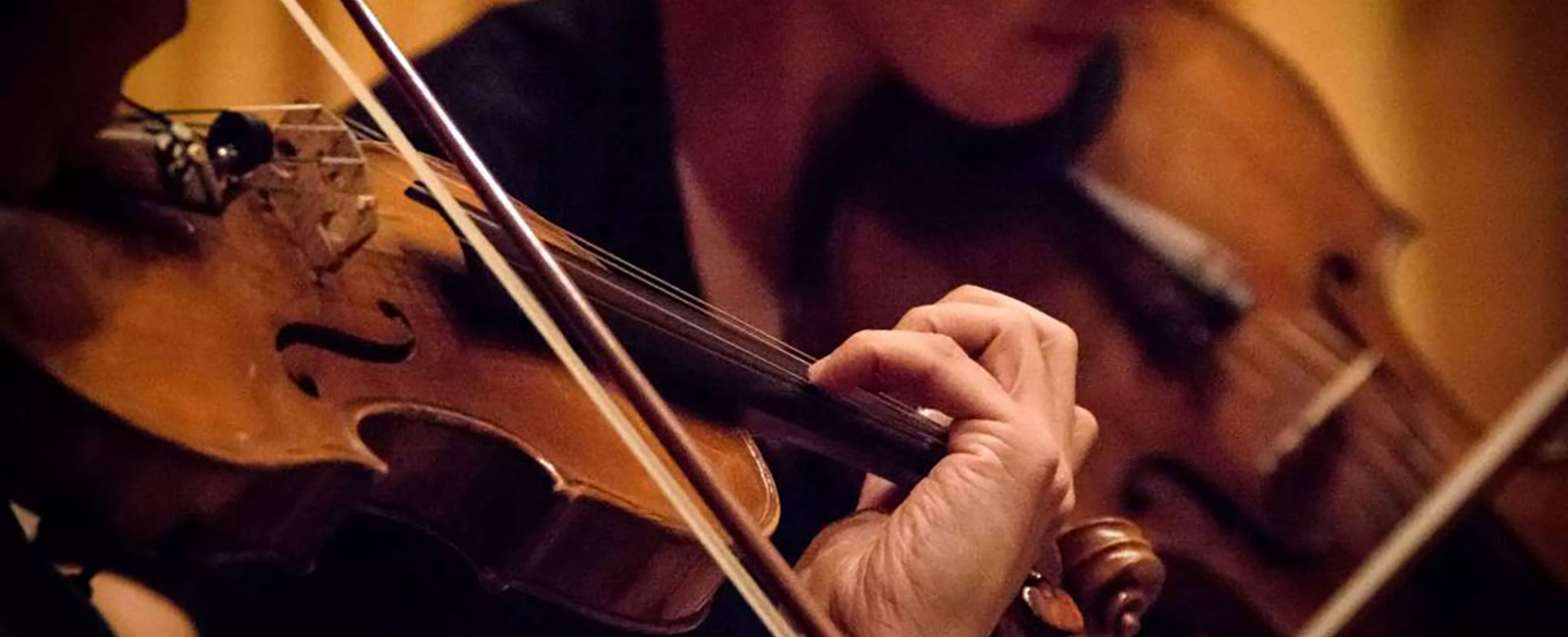 musicaciclo-1600×650