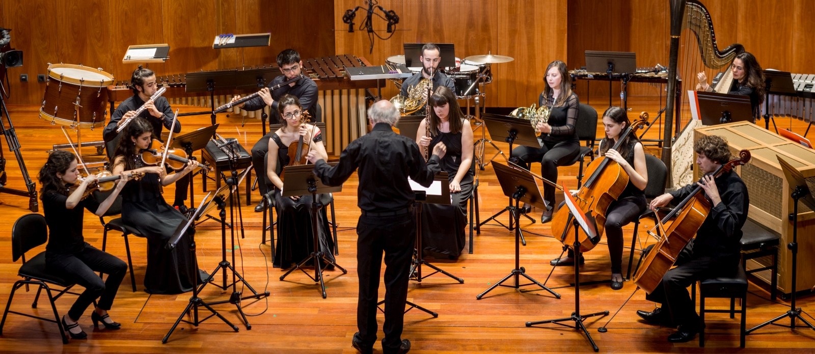 Sinfonietta-06