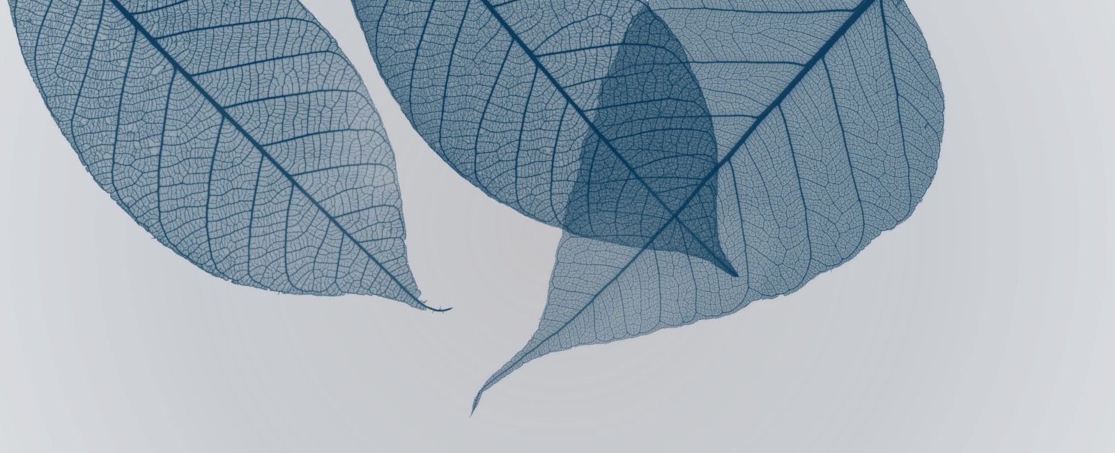cabecera_imagen-recurso_2